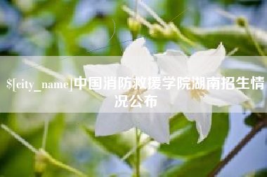 宝鸡中国消防救援学院湖南招生情况公布