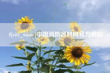 宝鸡中国消防器材网官方网站