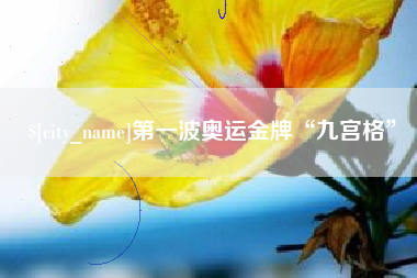 宝鸡第一波奥运金牌“九宫格”