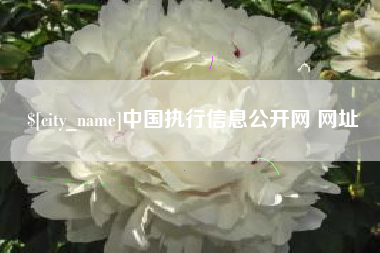 宝鸡中国执行信息公开网 网址