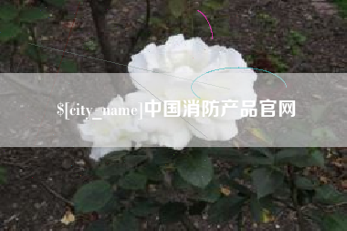 宝鸡中国消防产品官网