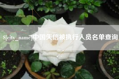 宝鸡中国失信被执行人员名单查询