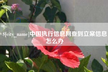 宝鸡中国执行信息网查到立案信息怎么办