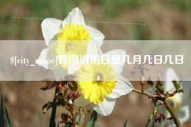 宝鸡我国消防日是几月几日几日