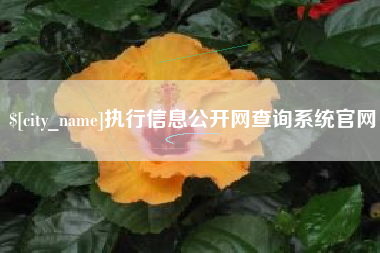 宝鸡执行信息公开网查询系统官网