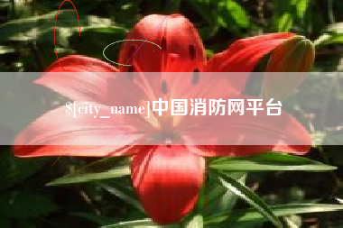 宝鸡中国消防网平台