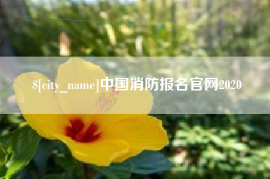 宝鸡中国消防报名官网2020
