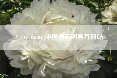 宝鸡中国消防网官方网站
