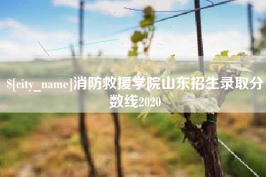 宝鸡消防救援学院山东招生录取分数线2020