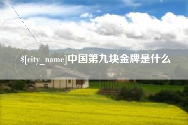 宝鸡中国第九块金牌是什么