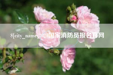 宝鸡2021国家消防员报名官网