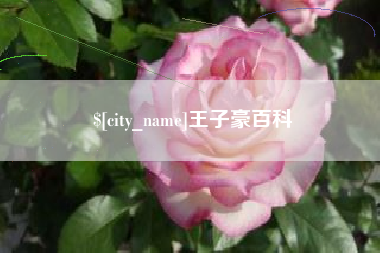 宝鸡王子豪百科