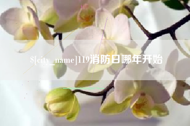 宝鸡119消防日哪年开始