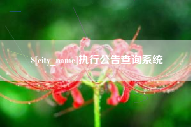 宝鸡执行公告查询系统