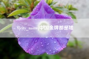 宝鸡中国金牌都是啥