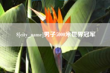 宝鸡男子5000米世界冠军
