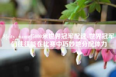 宝鸡5000米世界冠军配速-世界冠军们往往能在比赛中巧妙地分配体力