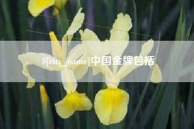 宝鸡中国金牌包括