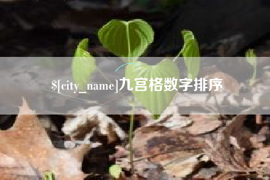 宝鸡九宫格数字排序