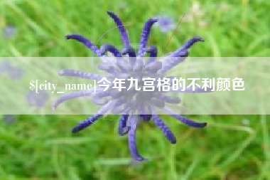 宝鸡今年九宫格的不利颜色