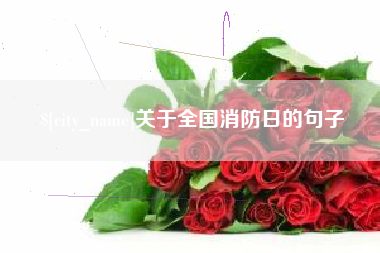 宝鸡关于全国消防日的句子