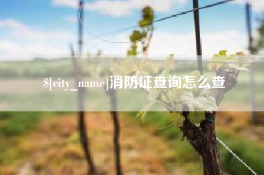 宝鸡消防证查询怎么查