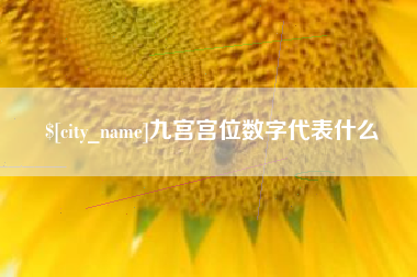 宝鸡九宫宫位数字代表什么