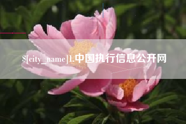 宝鸡1.中国执行信息公开网