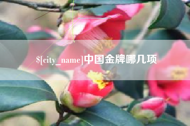 宝鸡中国金牌哪几项