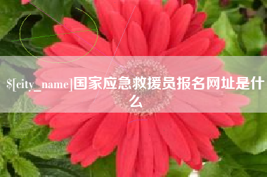 宝鸡国家应急救援员报名网址是什么