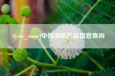 宝鸡中国消防产品信息查询