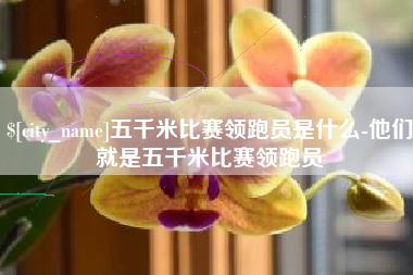 宝鸡五千米比赛领跑员是什么-他们就是五千米比赛领跑员