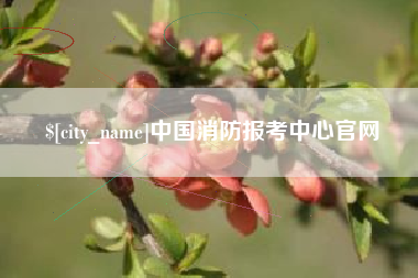 宝鸡中国消防报考中心官网