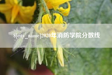 宝鸡2020年消防学院分数线