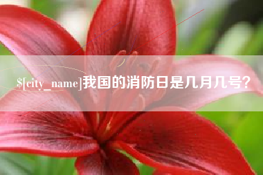 宝鸡我国的消防日是几月几号？