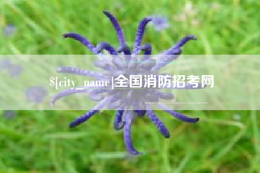 宝鸡全国消防招考网