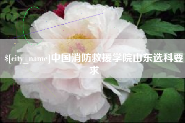 宝鸡中国消防救援学院山东选科要求