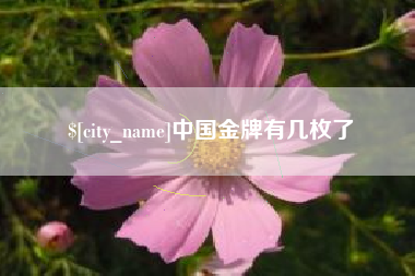 宝鸡中国金牌有几枚了