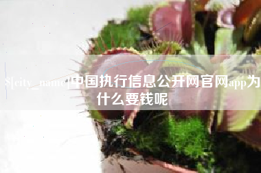 宝鸡中国执行信息公开网官网app为什么要钱呢