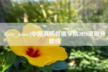 宝鸡中国消防救援学院2021录取分数线