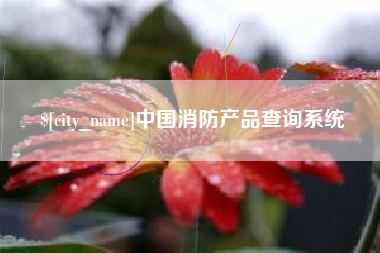 宝鸡中国消防产品查询系统