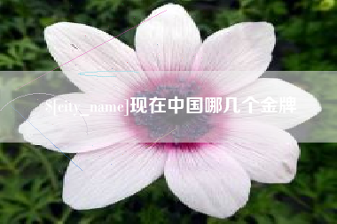 宝鸡现在中国哪几个金牌