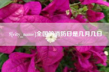 宝鸡全国的消防日是几月几日