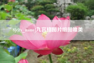 宝鸡九宫格图片组图唯美