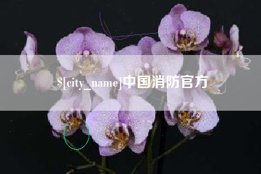 宝鸡中国消防官方