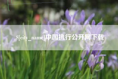 宝鸡中国执行公开网下载