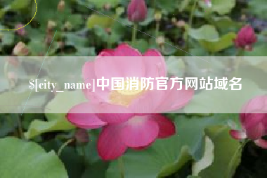 宝鸡中国消防官方网站域名
