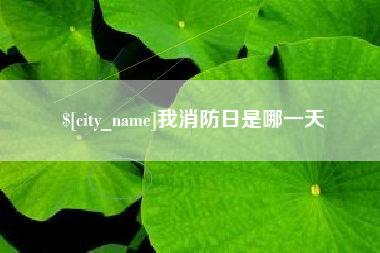 宝鸡我消防日是哪一天