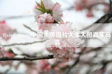 宝鸡中国金牌图片大全大图真实高清