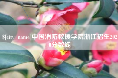 宝鸡中国消防救援学院浙江招生2020分数线